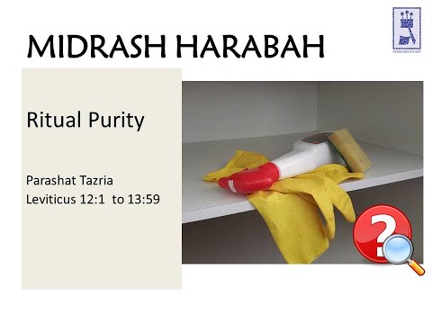 Ritual Purity - Parashat Tazria