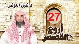 قصة الطائر الذي أسلم بسببه أمة من الأمم