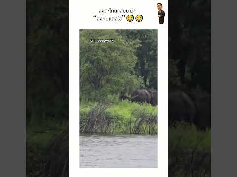 ลุงตะโกนกลับมาว่า “ลุงกินแต่ลีโอ”😅😅