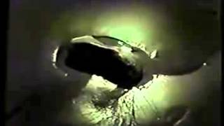 Blackwater - Rain Tree Crow