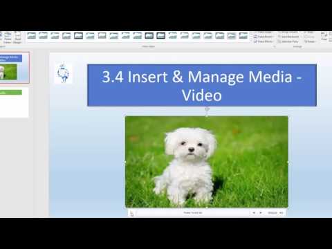 PowerPoint 2016 MOS 3.4 Insert and Manage Media