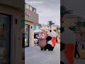 Tank Ritik Ritik Dum Dum On Panda Funny