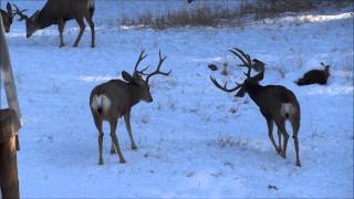 Big Boys Killing Time