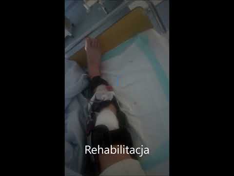 Pablo - Rehabilitacja