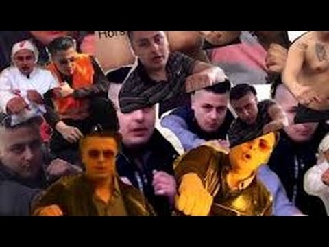 ULTIMATE HORSEFIGHTER Mauri