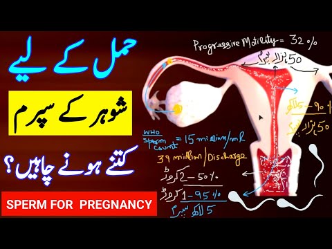 Normal Sperm Count To Get Pregnant | Sperm Motility For Pregnancy |Pregnant Hone Ke Liye Kya Karen