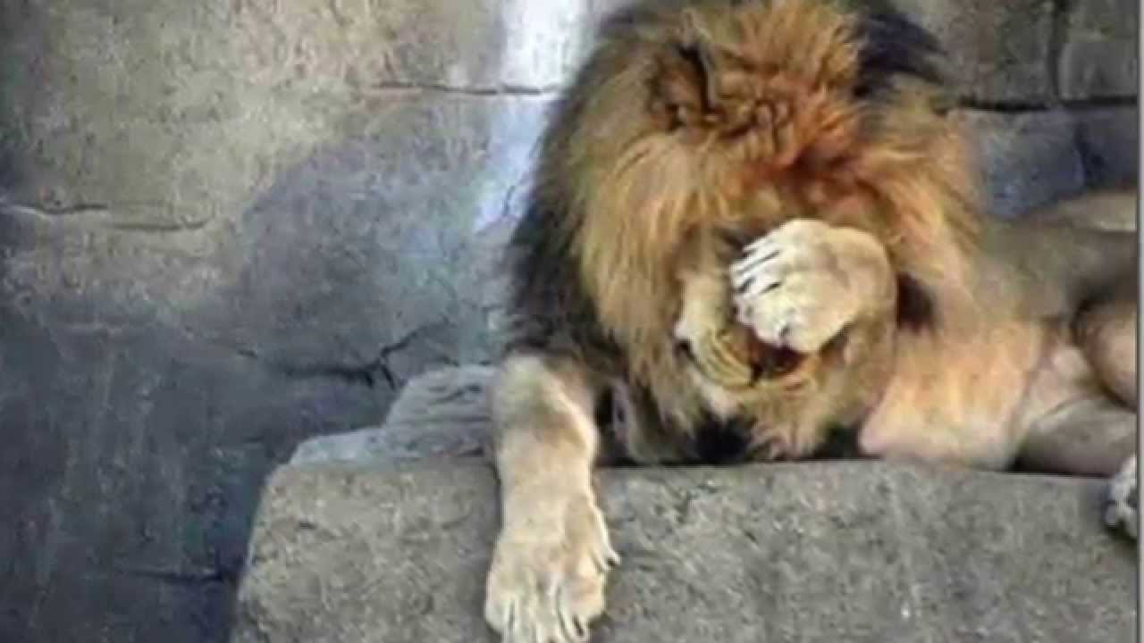 Politically Correct Ad #1