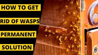 How to remove wasps nest | wasps nest removal | Tatiyo ko marne ka tarika | Fmc transportex