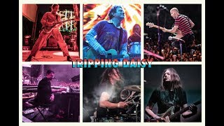 TRIPPING DAISY | "LOST & FOUND"