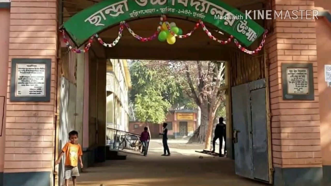 Missing School days and Friends