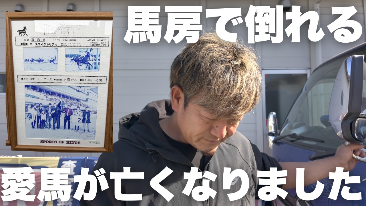 【子宮破裂】愛馬が亡くなりました