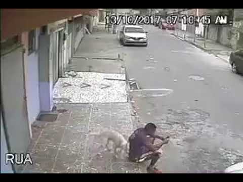 Dog pee on the man. A funny video
