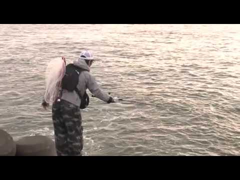 COREMAN lures CORE! Vol.8 - Saltwater Fishing JAPAN