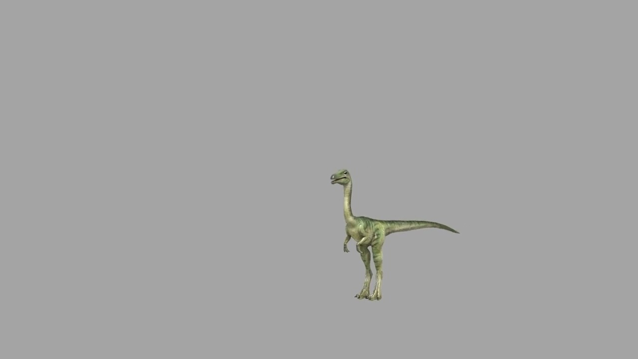 Real Animated Compsognathus - 8K 3D Model