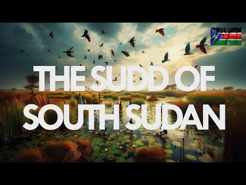 Why is the SUDD Important?