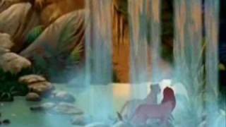 ~Spirit/Lion King- Southhamton~