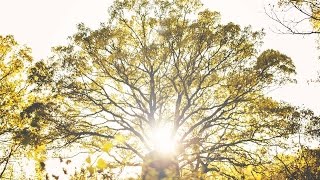 Adam&amp;Eve [Official Music Video]