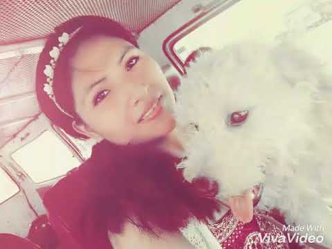 video de mi fiel amigo Mi TOBBY