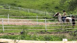 Genius Envy 5-22-11 #2