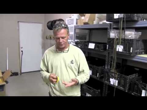 Rifles Only HAD Suppressor Cover