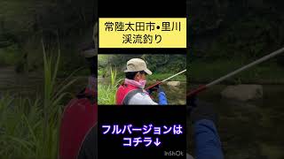 【初心者釣り】人生初めての渓流釣り！開始早々に釣れました！常陸太田市・里川