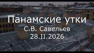 Download lagu S.V. Savelyev - Panamanian Ducks mp3