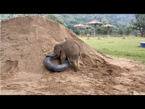 Happy Baby Pyi Mai ❤️❤️- EleFlix