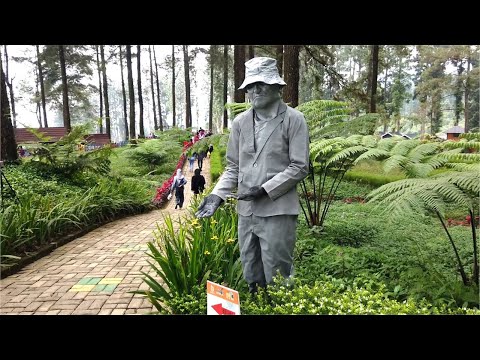 experiment-to-become-a-human-statue-trial-video