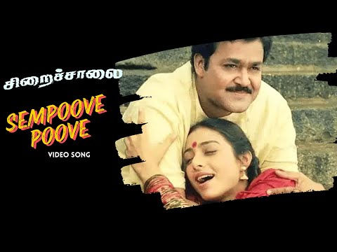Sempoove Poove Video Song | Chiraichalai | Priyadarshan | Ilaiyaraaja | Mohanlal | Prabhu | Tabu