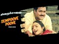 Sempoove Poove Video Song Chiraichalai Priyadarshan Ilaiyaraaja Mohanlal Prabhu Tabu