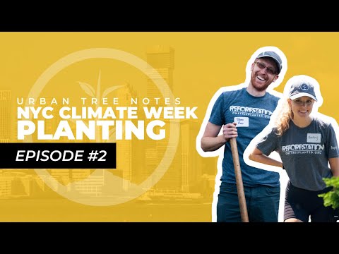 Urban Forestry at Climate Week in New York City | One Tree Planted