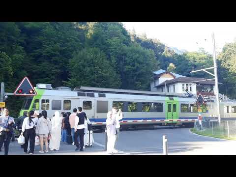 Spoorwegovergang Interlaken (CH) // Bahnübergang // Railroad Crossing