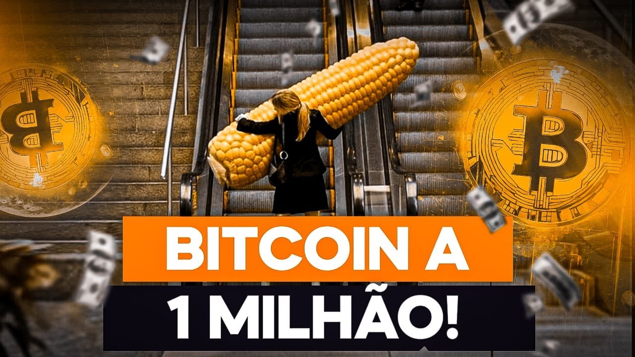 Bitcoin a 1 MILHÃO em 2024