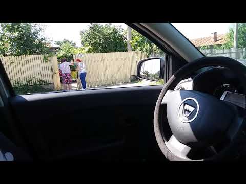 Negocieri cu verdeață la copăceni ilfov.  07. 07. 2019