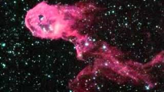 stars brian jonestown massacre.