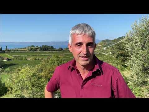 BARDOLINO - Der Wein