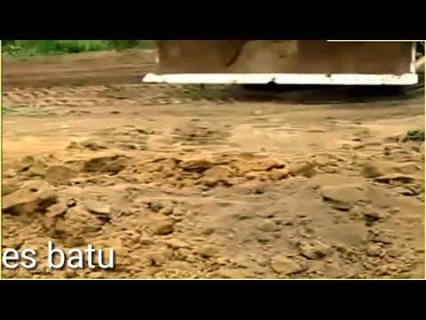 Anaconda vs bulldozer