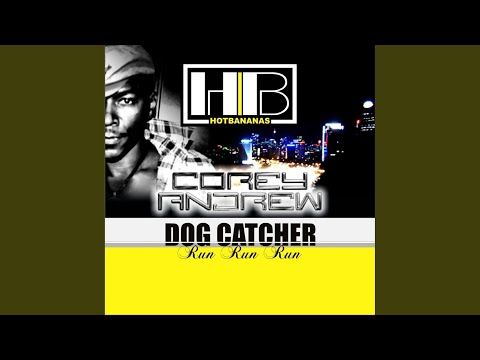 Dog Catcher (Run Run Run) (Marcapasos Remix)