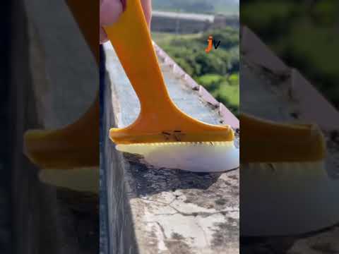 Shaliplast LW Waterproofing Chemical