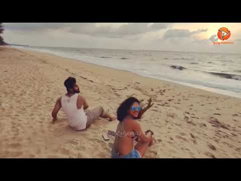 Amala paul on beach with boy Friends  - Tamilcinemas