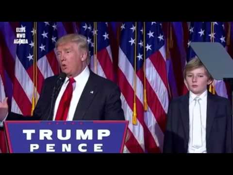 🐬⚡️Space~Surimi⚡️🐬💥FREESTYLE VOL.1💥🇺🇸DONALD T.R.A.P🇺🇸(AUDIO)