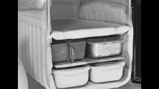 Albert Collins Defrost (1962)