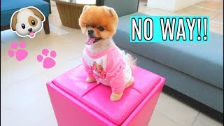 I MET JIFFPOM!! Hanging with Mia the gymnast & Billy from Bratayley!