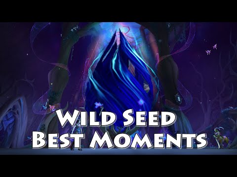 Wild Seed (Podtender) Best Moments in AWC 2021, Week 1 | World of Warcraft