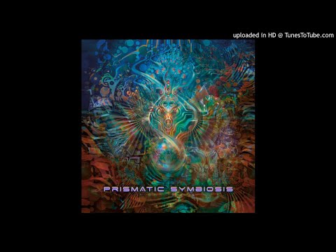 Forest Bamp - Hide & Seek