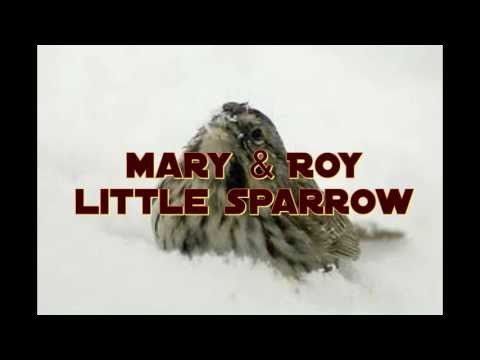 Mary & Roy - Little Sparrow.