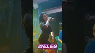 Download lagu WELEG  #denikarmila #dinikurnia #azkamusic #kendangkempul #onepro #sunankendang #shorts #koplo mp3