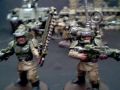 I.W.G Warhammer 40K Imperial guard Cadian shock ...