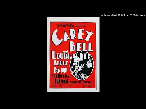 Louisiana Red - Sleep On Muddy Waters (1993)