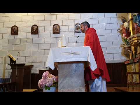 Thumbnail for San Estebanen "inbentzioa" (2021-VIII-3) AZPIROTZ